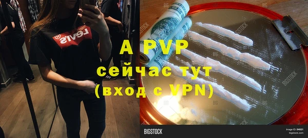 ECSTASY Ладушкин
