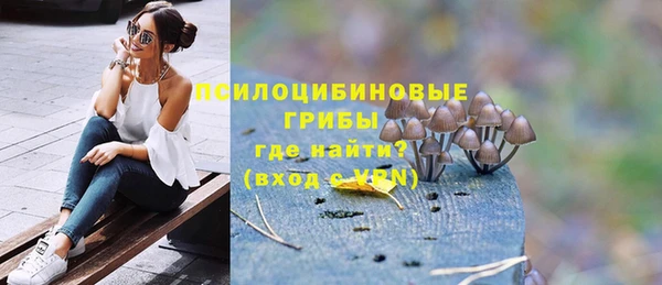 дживик Лабытнанги
