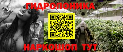 стаф Комсомольск-на-Амуре
