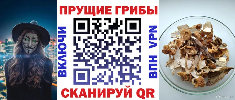 блэк спрут ссылка  Ялта  Галлюциногенные грибы Psilocybine cubensis 