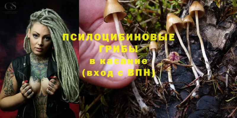 дарк нет какой сайт  Ялта  Галлюциногенные грибы Psilocybine cubensis  как найти  