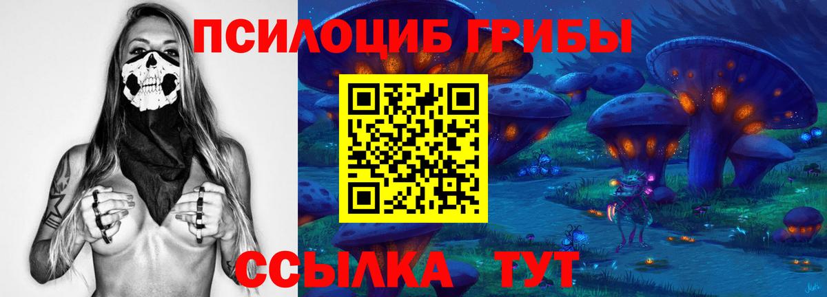 Галлюциногенные грибы Psilocybine cubensis  Псилоцибиновые грибы прущие грибы  дарнет шоп  Ялта 